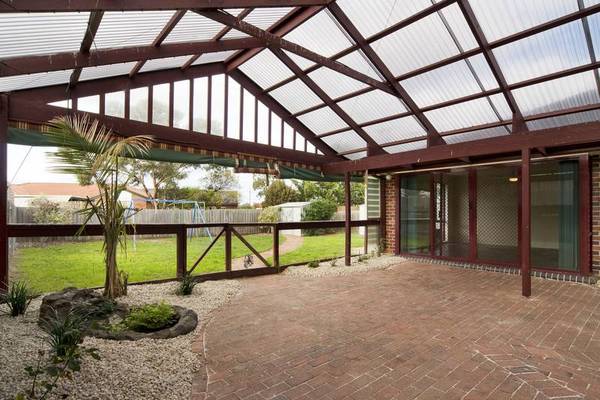 ENTERTAINER'S DELIGHT Picture 3