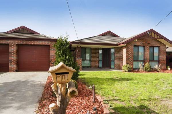 ENTERTAINER'S DELIGHT Picture 1