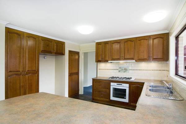 ENTERTAINER'S DELIGHT Picture 2