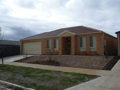 Available Late January 2009 (R02) Mel 202 K3 Picture Available Late January 2009 (R02) Mel 202 K3 Picture