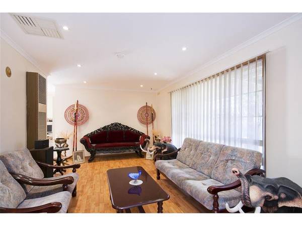 GET AHEAD OF THE PACK! Picture GET AHEAD OF THE PACK! Picture