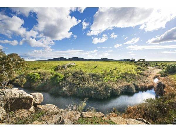 TIME FOR A TREE CHANGE Picture TIME FOR A TREE CHANGE Picture