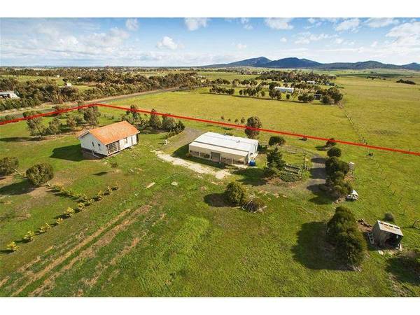 TIME FOR A TREE CHANGE Picture TIME FOR A TREE CHANGE Picture