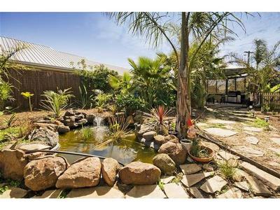 SEARCH NO MORE - THIS IS IT! Picture SEARCH NO MORE - THIS IS IT! Picture