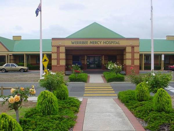 GREAT POTENTIAL Picture 2