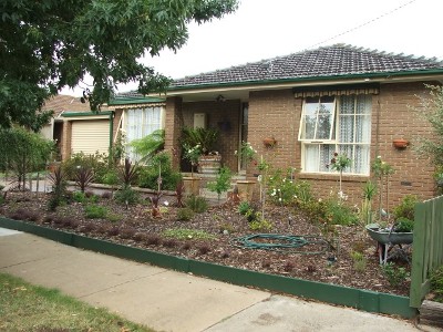 Available early January 2010 (AOS) Picture