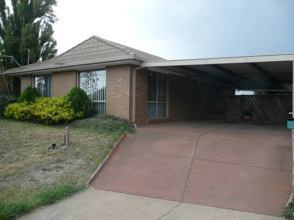 YOUR ATTENTION PLEASE Picture 2