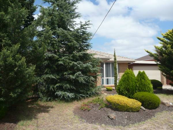 AWAITING NEW FAMILY Picture 2