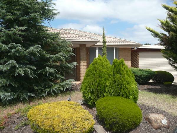 AWAITING NEW FAMILY Picture 1