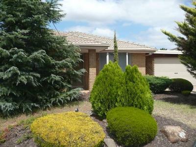 AWAITING NEW FAMILY Picture AWAITING NEW FAMILY Picture