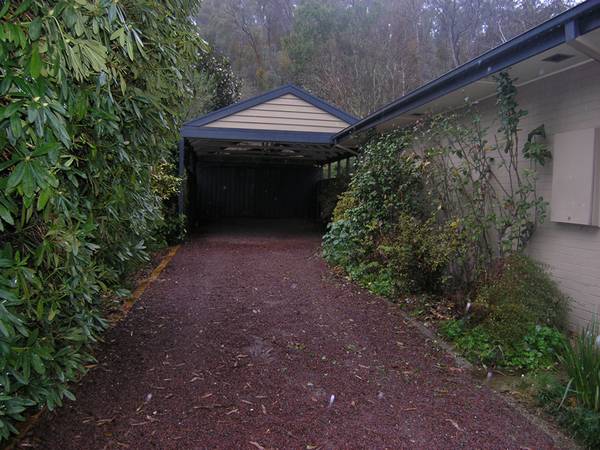 'Large Block' - Delany Avenue - Bright Picture 3