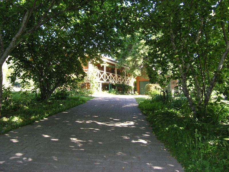 Circa 1870's, Brick
Miners Cottage - Wandiligong Picture 3