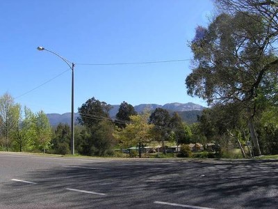 Buffalo Views - Realistic Price Picture