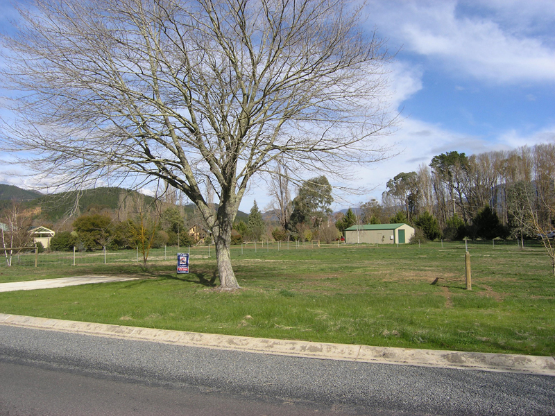 POREPUNKAH - BRIGHT DISTRICT
-
STATION STREET Picture 2