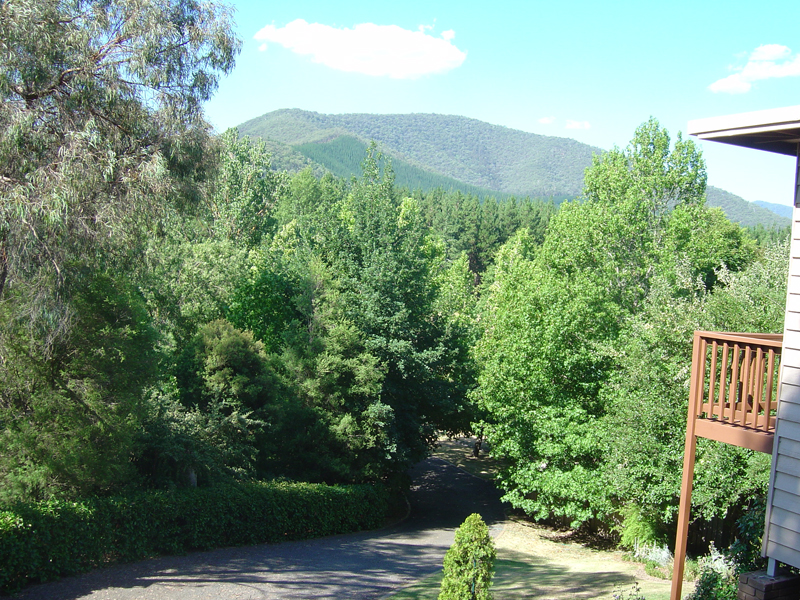 "THE RIGHT ADDRESS!"
-
166 DELANY AVE, BRIGHT Picture 3