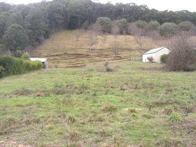 BUILD YOUR DREAM HOME IN QUIET SURROUNDS - WANDILIGONG Picture