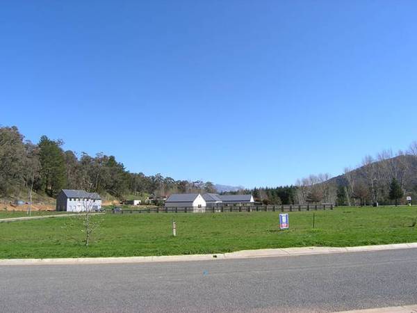 Views of Buffalo Picture 1