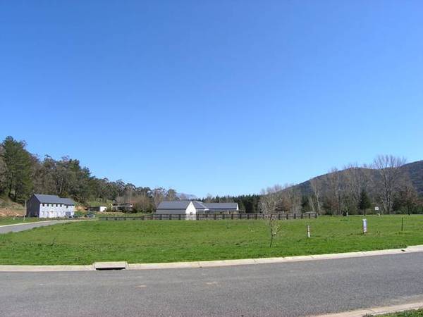 Views of Buffalo Picture 2