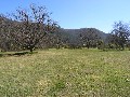 Wandiligong 1/2 acre (2000m2) Picture Wandiligong 1/2 acre (2000m2) Picture