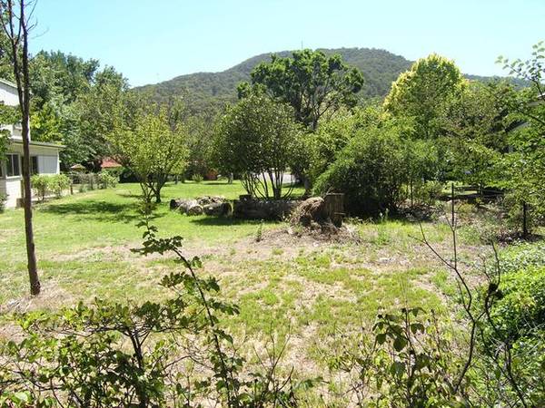 'Vacant Land' - Delany Ave, Bright Picture 1