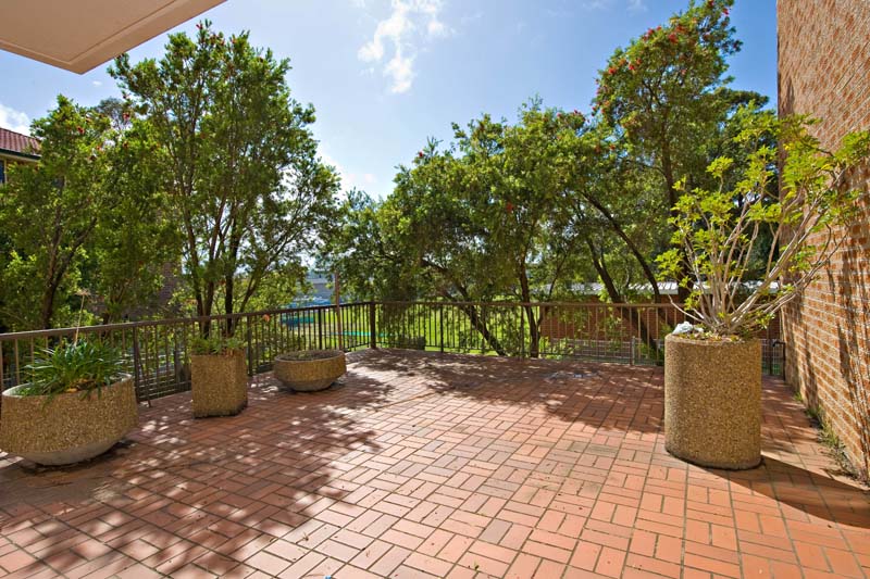 The Perfect Entertainer! Picture 3