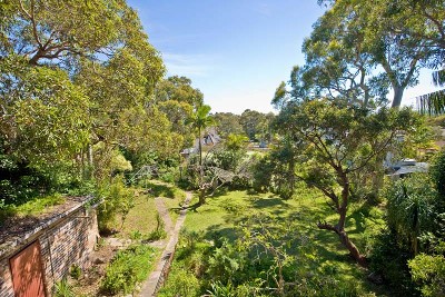 Plenty of Potential Picture Plenty of Potential Picture