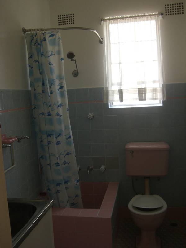 Fresh Paint and Carpet Picture 3