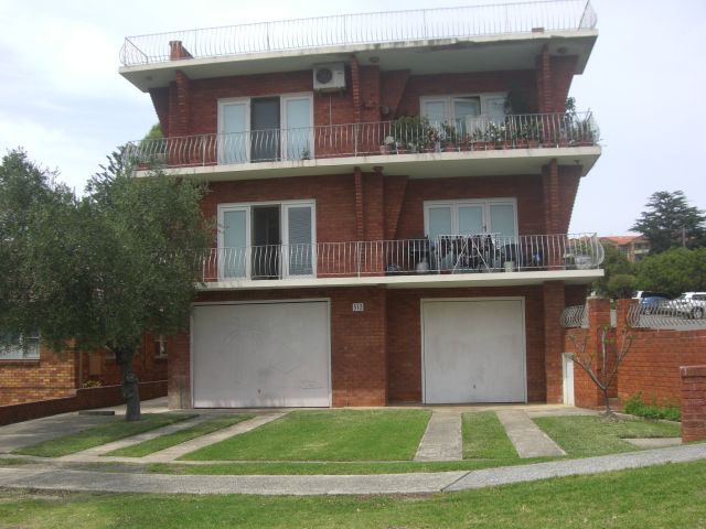 Fresh Paint and Carpet Picture 1