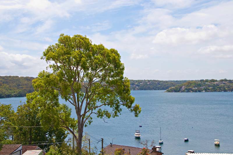 Picturesque Panoramic Water Views Picture 2