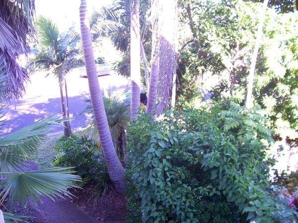 PERFECT INVESTMENT OPPORTUNITY Picture 1