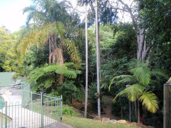 Rainforest Water Fall Park... Picture 2