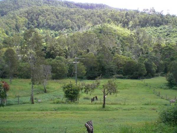 Peace and tranquility in Kenilworth.
RED HOT.......YOU BET Picture 1