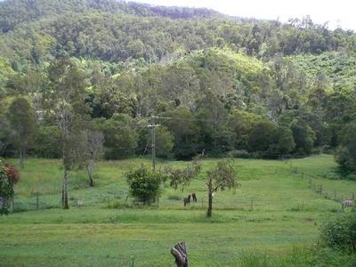 Peace and tranquility in Kenilworth.
RED HOT.......YOU BET Picture