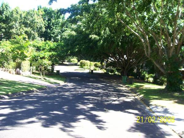Ultimate Queenslander on Buderim Picture 3
