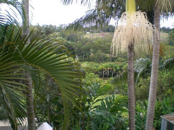 Burnside's Best Kept Secret Picture 2