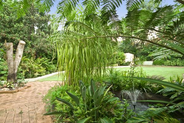 LARGE BUDERIM HOME ON LANDSCAPED 905m2 Picture 3