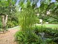 LARGE BUDERIM HOME ON LANDSCAPED 905m2 Picture