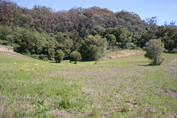 North Facing 5 Acres Picture 2