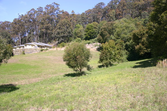 North Facing 5 Acres Picture 1