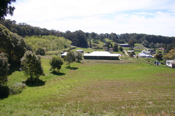 North Facing 5 Acres Picture 3