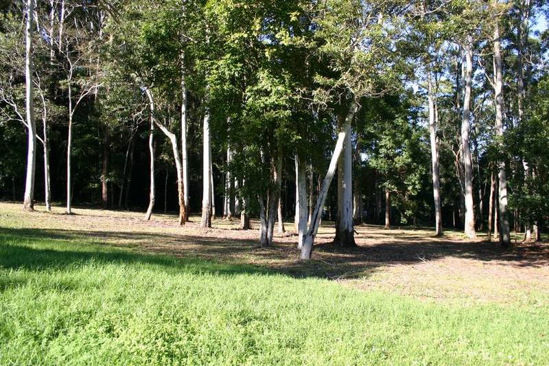 10 Vacant Acres Picture 3