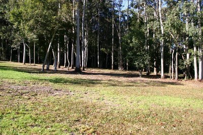 10 Vacant Acres Picture