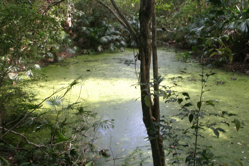 First Time Offered in Over 36 Years!!! Picture 2