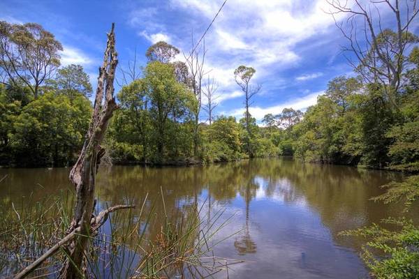 Magic Outlook Picture