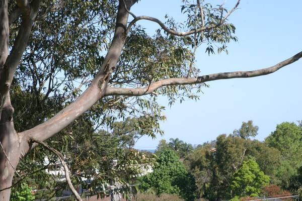 R U the Lucky First Home Buyer? Picture