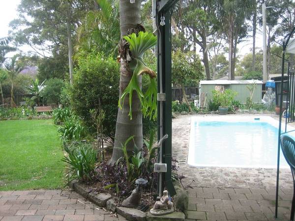 Quiet, Sunny Cul-de-sac Picture 1