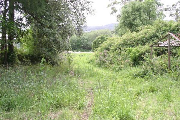 Vacant Acres Picture 1