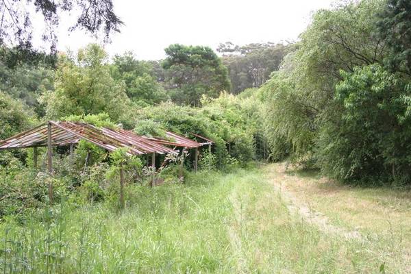 Vacant Acres Picture 3