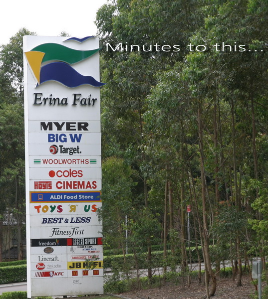 Vacant Acres Picture 2