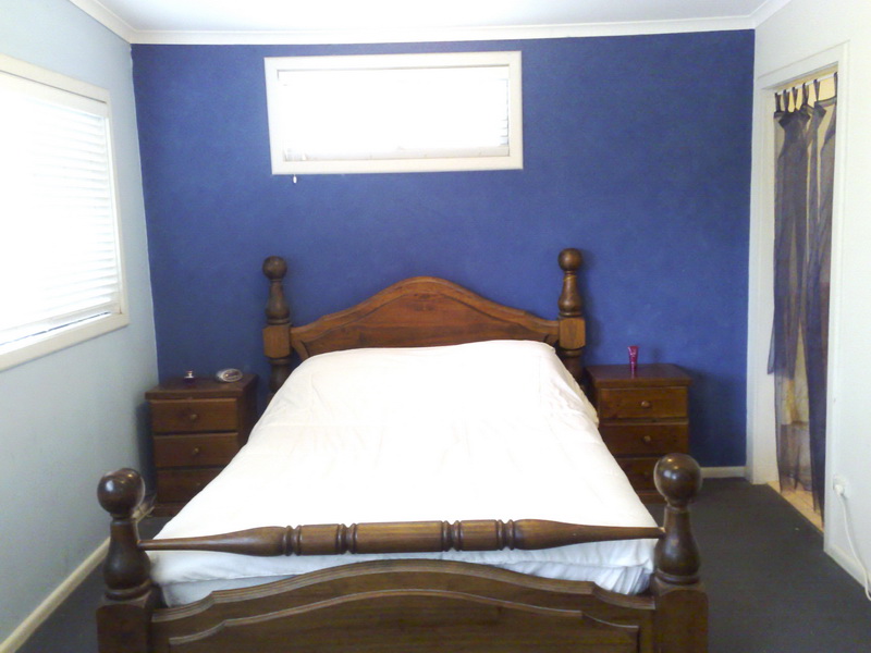 BUDGET BUY! Picture 3